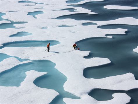 Natural Environmental Swings Cause Up To Half Of Arctic Sea Ice Loss