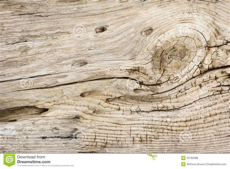 Driftwood Background Texture Royalty Free Stock Photos
