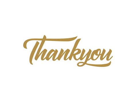 Thank You Text Lettering Calligraphy In Gold Color Isolated On White