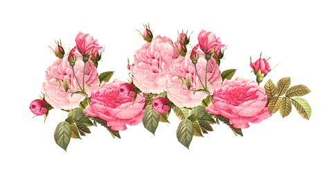 Romantic Pink Flower Border Png Photos Png Svg Clip Art For Web