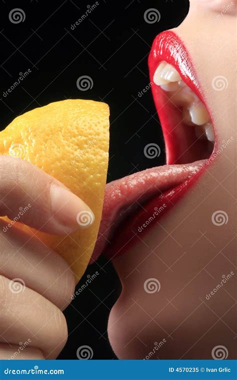 Licking Royalty Free Stock Photo Image 4570235