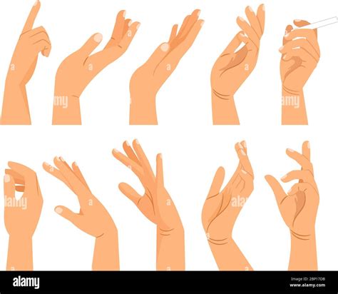 Hand Gestures In Different Positions Vector Hands Showing And Pointing