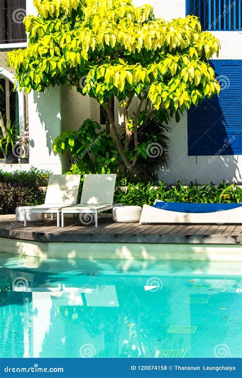 Sunbathing Lounger Swimming Pool Side Stock Photo Image Of Area