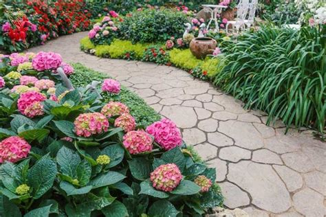 A Garden Filled With Lots Of Flowers Next To A Lush Green Forest