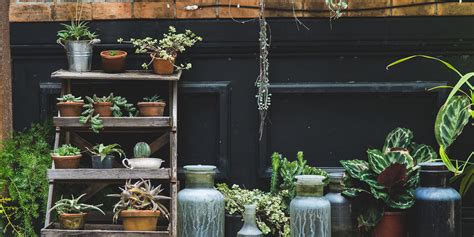 12 Indoor Herb Garden Ideas Kitchen Herb Planters We Love