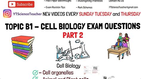 Aqa Gcse Paper 1 Biology Revision Youtube Mindmap Teaching Resources