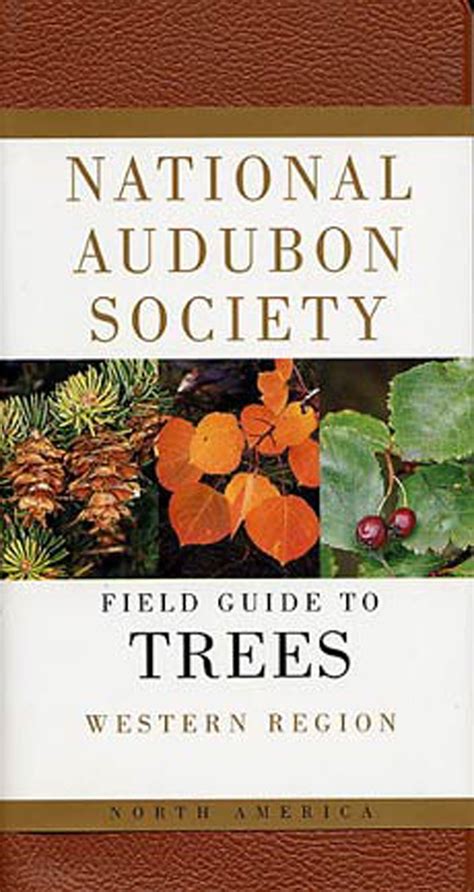 Field Guide To Trees Western Region National Audubon Society