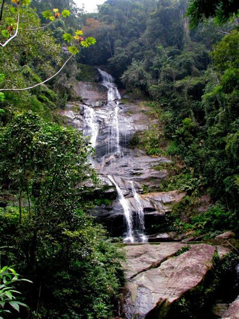 Tijuca National Park This Park Provides The Perfect Escape From The
