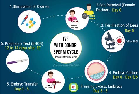 Ivf With Donor Sperm Steps Get Best Solution On Ivf At Ivf Center