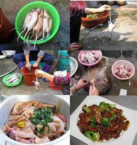 While you are shopping for food for your pet rat, look for a diet that has been made specifically for rats. Everything Can Be Fake in China, Even Ordinary Foods