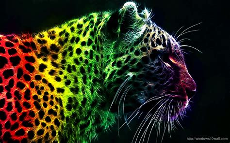 Ultimate Rainbow Leopard Wallpapers Windows 10 Wallpapers