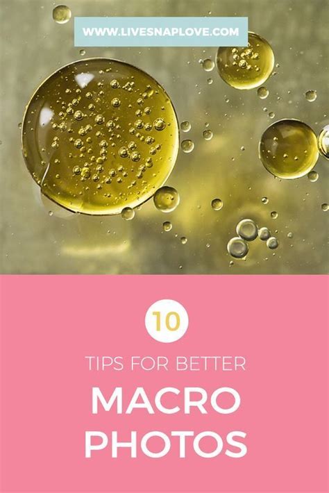 10 Tips For Better Macro Photos Macro Photography Tips Macro Photos