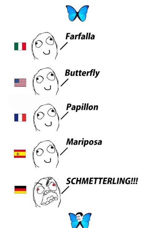 30 Hilarious Reasons Why The German Language Is The Worst Laptrinhx