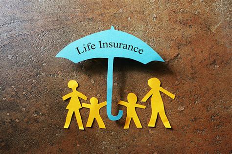 Accompanying its life insurance policies, aaa issues accident insurance and annuities for customers who require protection from potential workplace mishaps or need a steady source of income even in their retirement years. Life Insurance 101: Breaking Down the Basics - Your AAA Network