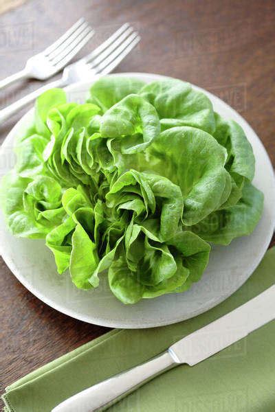 Fresh Lettuce On Plate Stock Photo Dissolve