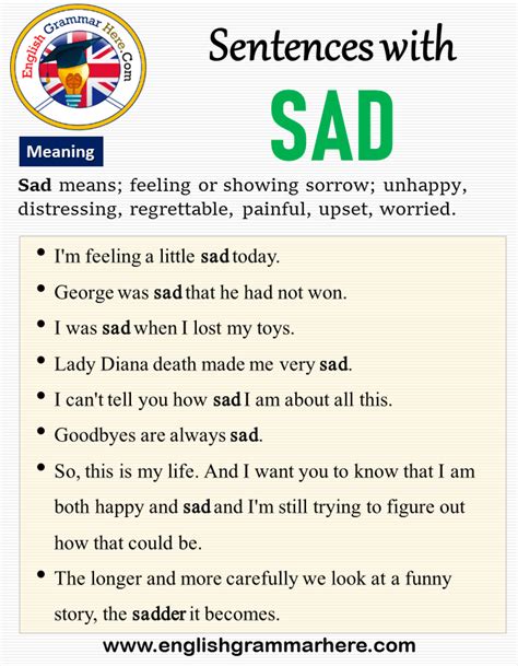 Sentences With Sad Meaning And Example Sentences English Grammar Here