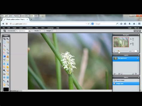 How To Crop An Image To An Exact Size With Pixlr Pixlr Photo Editing