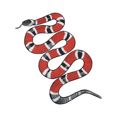 How To Draw Gucci Snake Usedbobrevolutionstrollerideas