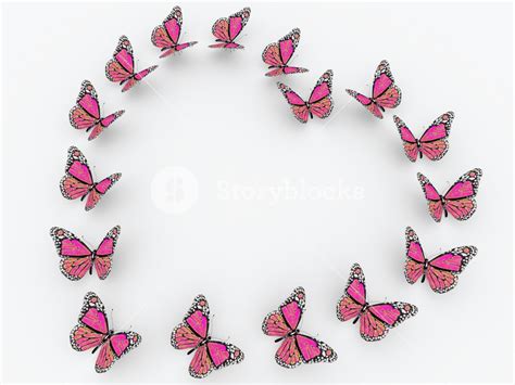 Pink Butterflies Isolated On White Background Royalty Free Stock Image