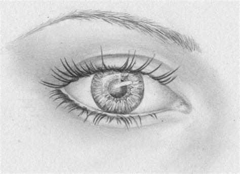 Wir posten hier für euch neues aus dem blog & dem forum. Zeichnen lernen - Augen, Pupille, Iris - Tutorial in 2019 ...