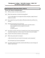 Ebright started tagging monarch butterflies. Study guide Ch 6 & 7 Answer key (1) - Study guide Answer ...