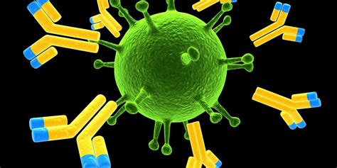 High Iga Levels 5 Ways To Improve Immune Health Selfdecode Labs