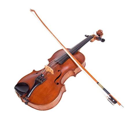 A Young Violists Guide To Buying A Viola