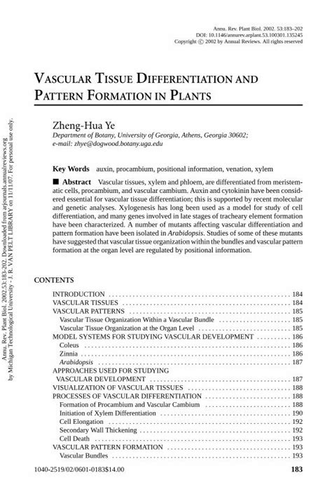 Pdf Vascular Tissue Differentiation And Hlyoungsplantdevelopment