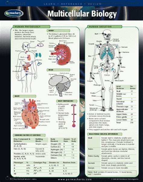 Multicellular Biology Reference Guides Oneclass