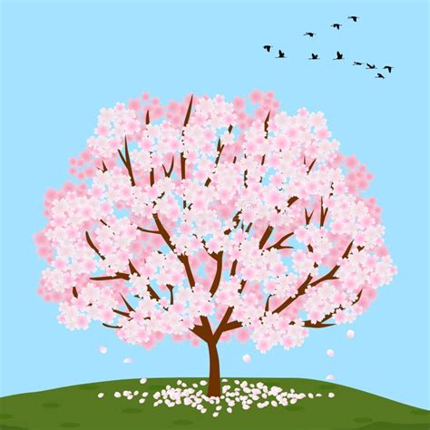 Illustration Of Blossoming Sakura Tree Stock Illustration