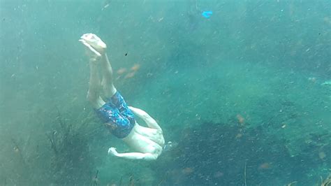 Swim In An Underwater Cave At Ichetucknee Springs Explorcation