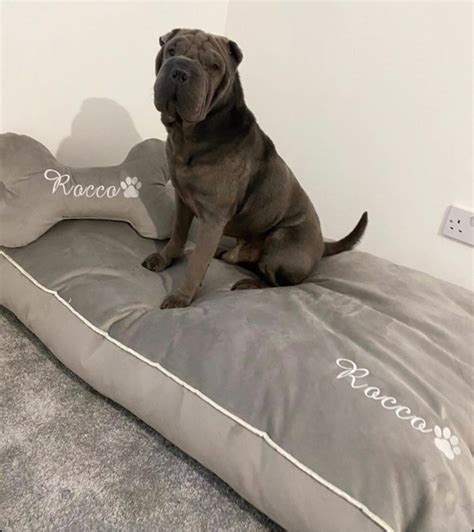 Large Silver Flat Velvet Plush Personalised Floor Style Dog Bed