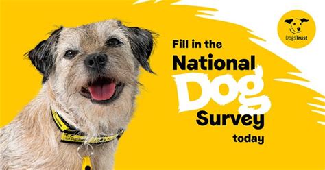 Creative Works Dogs Trust National Dog Survey By Good Agency The Drum