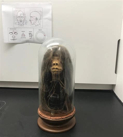 How A Ceremonial Shrunken Head Held By A Us University For Decades