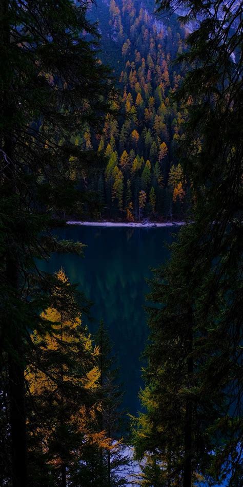 Forest Nature Autumn Lake Green Trees 1080x2160 Earth Lake Trees