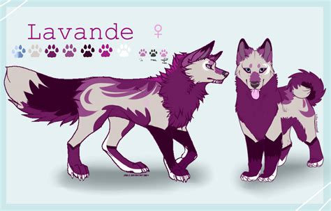 Lavande Refsheet By Lilastimberwolf On Deviantart