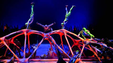Cirque Du Soleil Llega A Córdoba En 2014 Revista Show Up