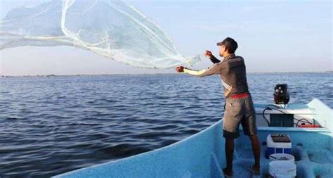 ¡peligro En La Pesca En Yucatán Te Contamos Todos Los Detalles