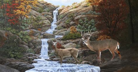 Crista Forests Animals And Art Waterfall Wildlife Crossing Painting