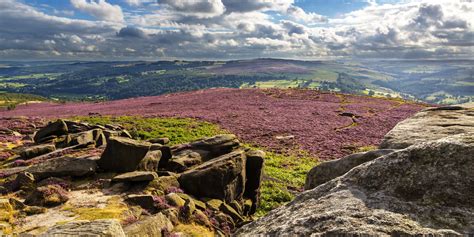 Heather Burning Banned On Moors In Northern England Cieem