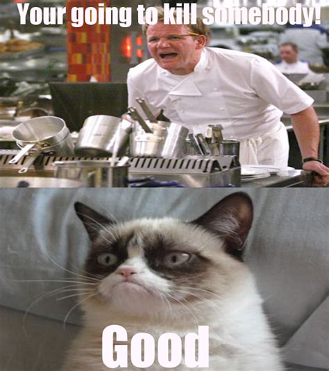 Crazy Lazy Silly And Strange The Best Of Grumpy Cat Grumpy Cat