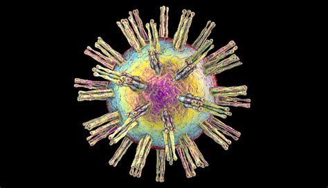 The herpes simplex virus impacts a significant portion of the worldwide population. CDC Reports on Latest Estimates of HSV-1, HSV-2 Prevalence in the United States - Infectious ...