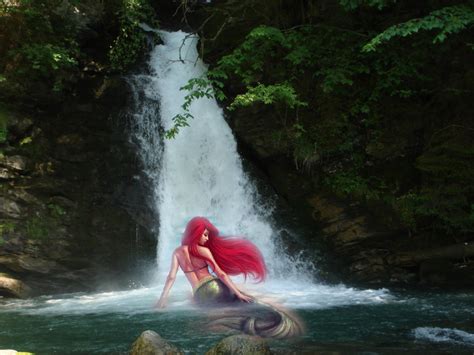 Mermaid Full Hd Wallpaper And Background Image 2592x1944 Id 124095
