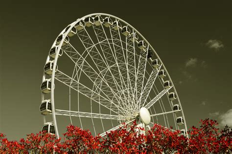 York Eye Attraction Free Stock Photo Public Domain Pictures