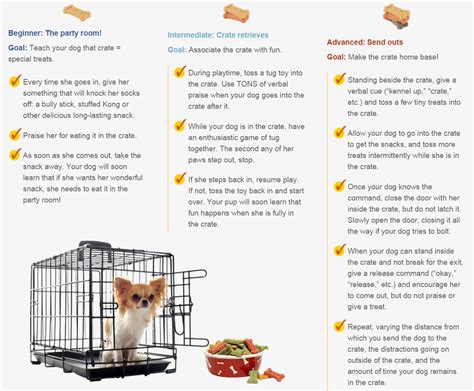 Crate Training Your Dog Doesnt Have To Be A Chore Here Are Three Fun