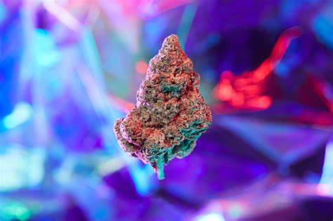 5 Purple Weed Strains What Is Purple Cannabis Mj Pureplay Index