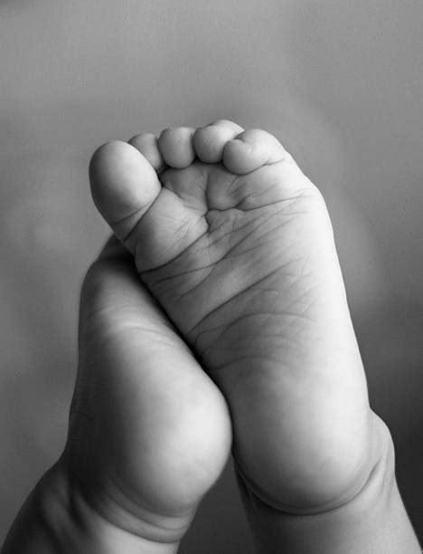Newborn Baby Feet Black And White Img Abbey