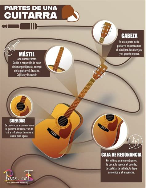 Infografia De Las Partes De Una Guitarra Diseño Original De Porsarts
