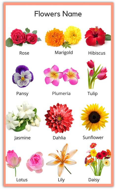 Flowers Names In English And Spanish With Pictures On The Bottom Right