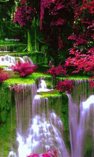 Pin By Niikoll Cardona On Animated Water Photo Waterfall Beautiful